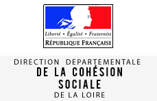 Logo-DDCS-Loire.png
