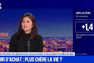 Nadia Ziane, directrice du service consommation de l’association Familles Rurales interviewée sur BFM TV