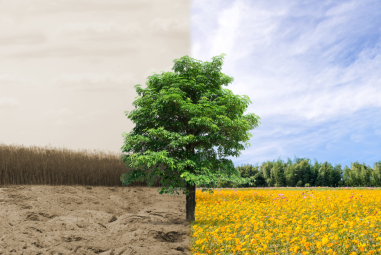 Résultats étude sur les structures de proximité de Familles Rurales