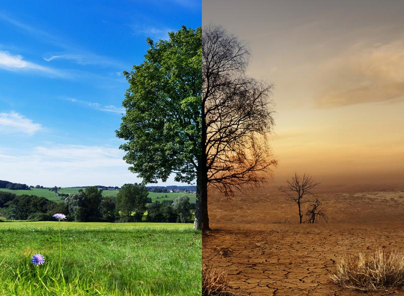 Projet de loi Climat et résilience