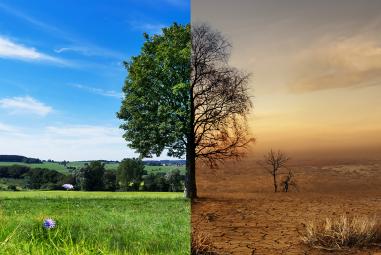Projet de loi Climat et résilience