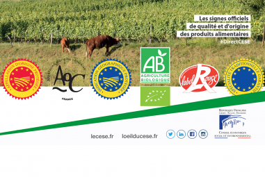 Les SIQO (signes officiels de qualité et d'origine) des produits alimentaires
