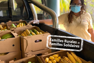 Livraison de paniers de fruits et légumes