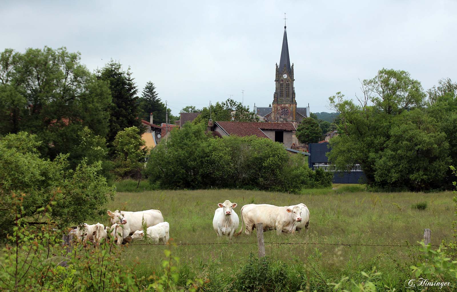 Le long de la Mortagne