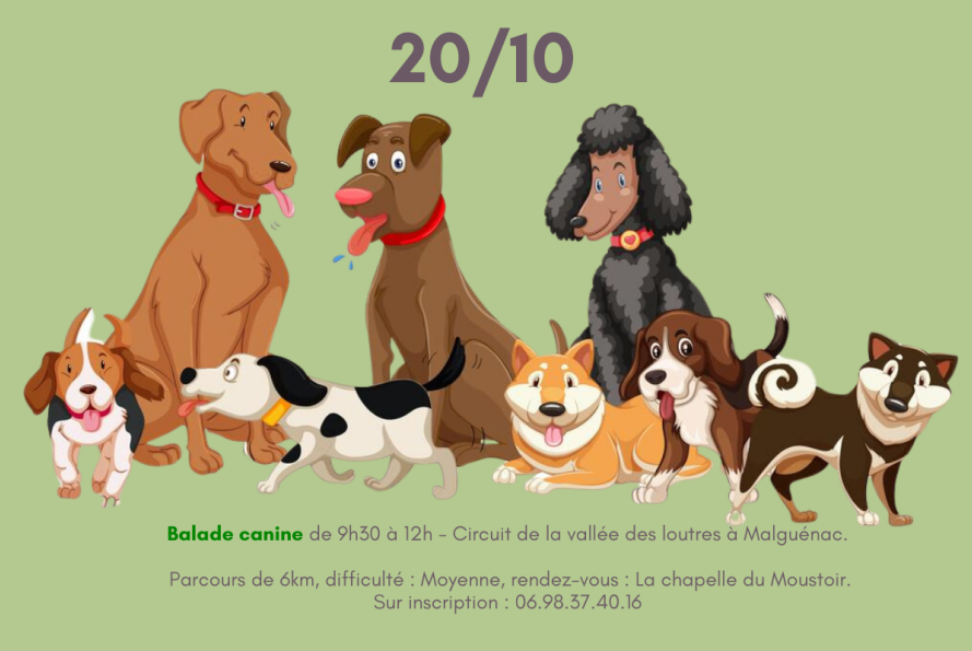 Balade canine octobre 2024