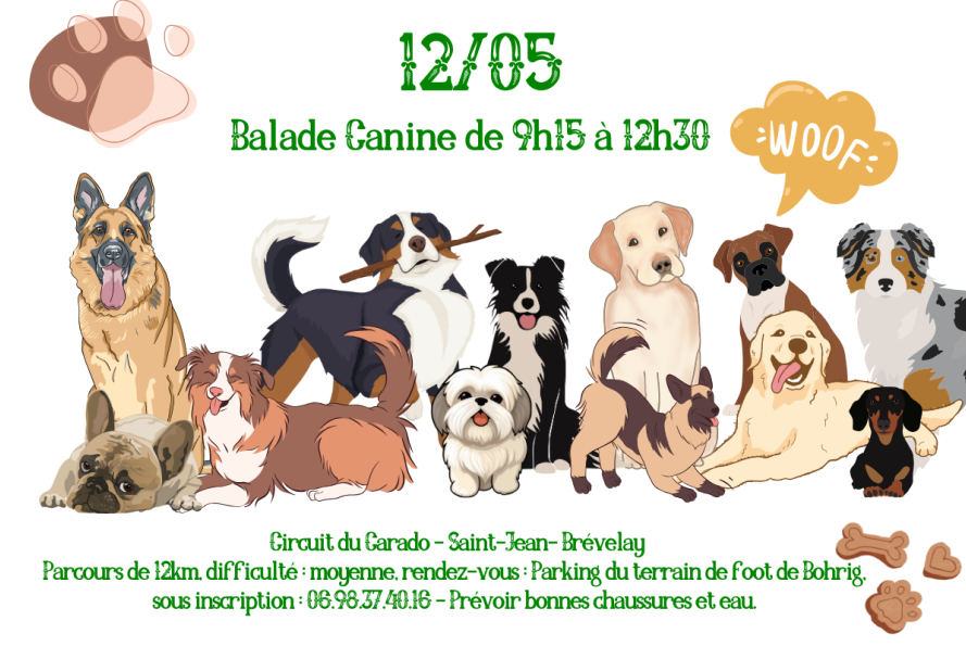Balade canine du 12 mai 2024