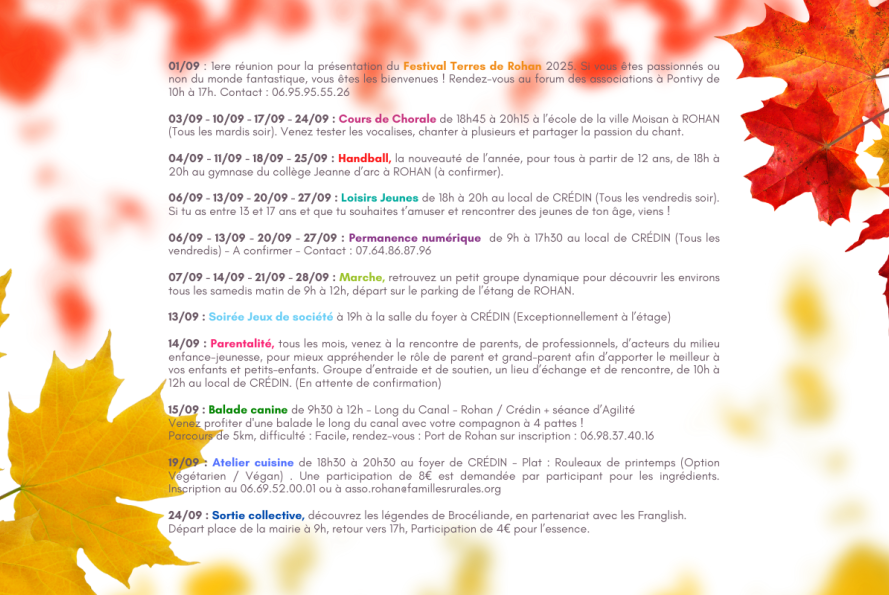 Programme EVS et Jeunesse 2024