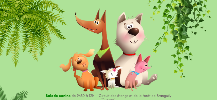 Balade canine de décembre 2024