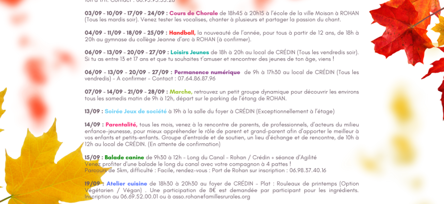 Programme EVS et Jeunesse 2024