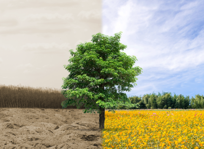 Résultats étude sur les structures de proximité de Familles Rurales