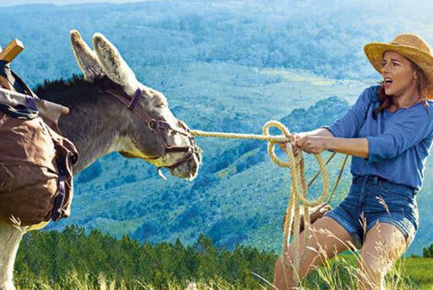 Film Antoinette dans les Cévennes