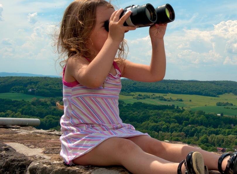 Rapport d'activité Familles Rurales